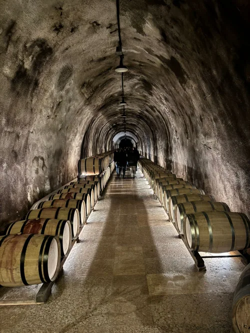 Technology and the Taste of Italy: from Metalworking to Wine Tasting